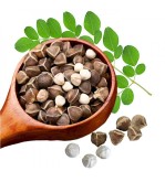 Graines de moringa (Moringa oleifera)