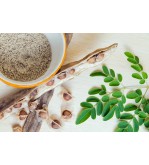 Graines de moringa (Moringa oleifera)